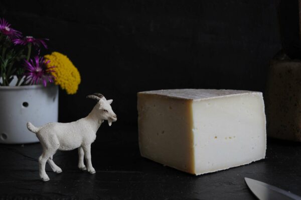 Tomme des Monts